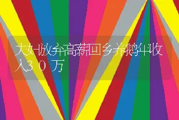 夫妇放弃高薪回乡养鹅年收入30万