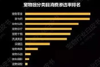 假日需求催火宠物新业态，行业监管需落实