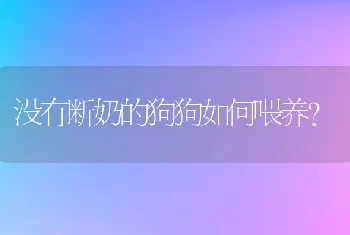 没有断奶的狗狗如何喂养?