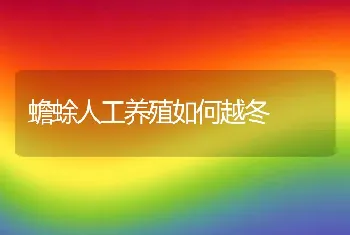 一例鸽蛔虫病诊治