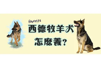 西德牧羊犬怎么养