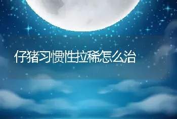 仔猪习惯性拉稀怎么治