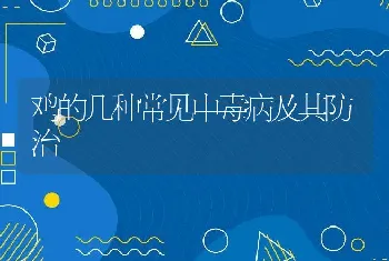 炮弹鱼交配、产卵的前兆是什么