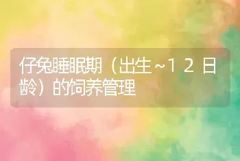 仔兔睡眠期（出生～12日龄）的饲养管理