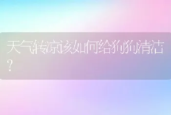 天气转凉该如何给狗狗清洁?