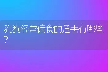 狗狗经常偏食的危害有哪些?