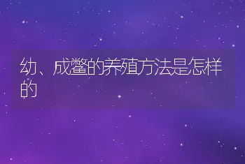 幼、成鳖的养殖方法是怎样的