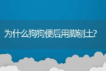 为什么狗狗便后用脚刨土?