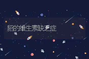 貂的维生素缺乏症