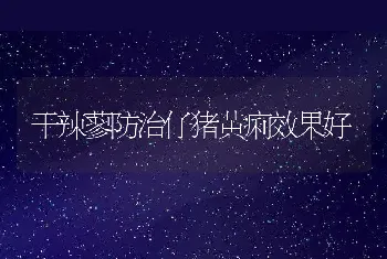 七星鲈成鱼的养殖技术