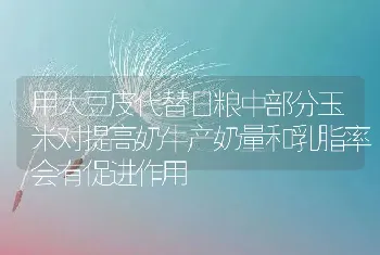 用大豆皮代替日粮中部分玉米对提高奶牛产奶量和乳脂率会有促进作用