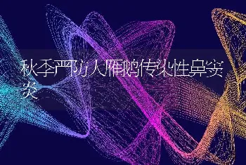 秋季严防大雁鹅传染性鼻窦炎