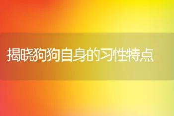 揭晓狗狗自身的习性特点