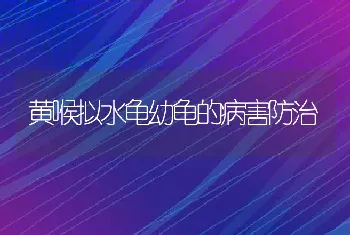 黄喉拟水龟幼龟的病害防治