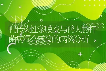 鸭传染性浆膜炎与鸭大肠杆菌病混合感染的病例分析