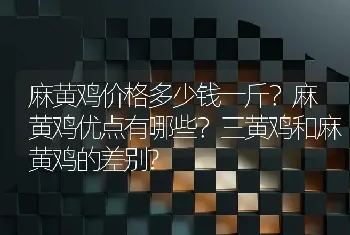 麻黄鸡价格多少钱一斤？麻黄鸡优点有哪些？三黄鸡和麻黄鸡的差别?