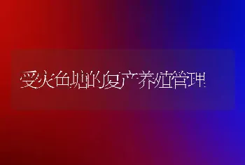 受灾鱼塘的复产养殖管理