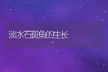 淡水石斑鱼的生长