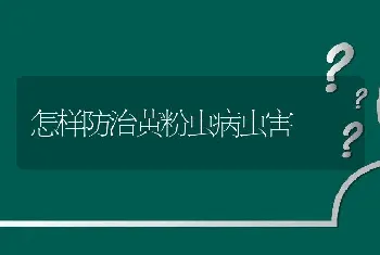 怎样防治黄粉虫病虫害