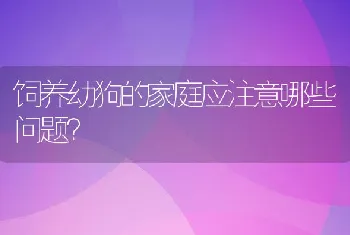 饲养幼狗的家庭应注意哪些问题？