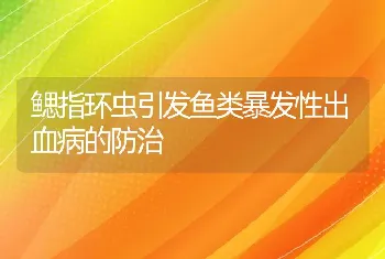 鳃指环虫引发鱼类暴发性出血病的防治