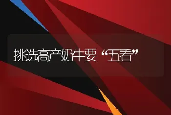 挑选高产奶牛要“五看”