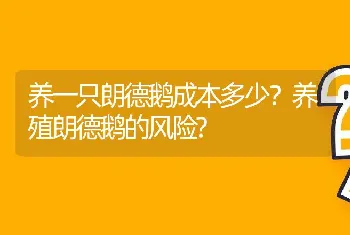 养一只朗德鹅成本多少？养殖朗德鹅的风险?