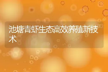 池塘青虾生态高效养殖新技术