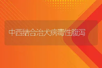 中西结合治犬病毒性腹泻