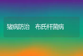 鱼鹅立体化生态养殖效益好