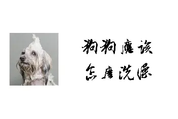 狗狗应该怎么洗澡