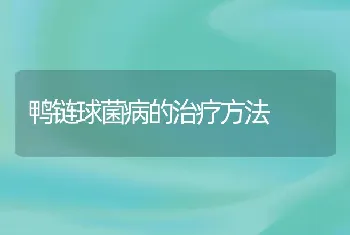 鸭链球菌病的治疗方法