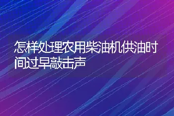 怎样处理农用柴油机供油时间过早敲击声