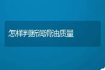 怎样判断润滑油质量