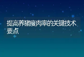 提高养猪瘦肉率的关键技术要点