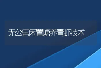 无公害闲置塘养青虾技术