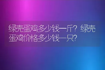 绿壳蛋鸡多少钱一斤？绿壳蛋鸡价格多少钱一只？