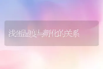 浅蛋湿度与孵化的关系