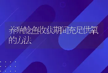 养殖鲶鱼收获期间充足供氧的方法