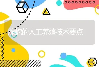 脆蛇的人工养殖技术要点