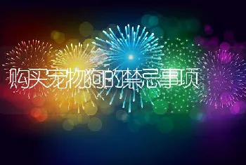 养好一条干净的宠物狗守则