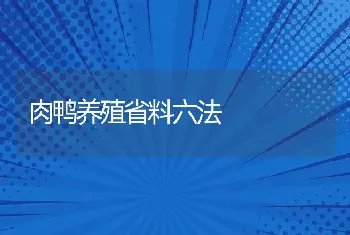 肉鸭养殖省料六法