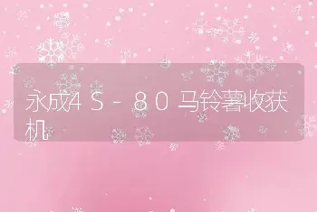 永成4S-80马铃薯收获机