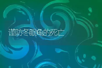 谨防冬眠龟的死亡