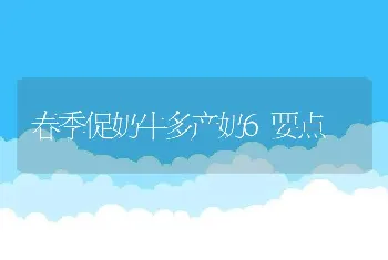 春季促奶牛多产奶6要点