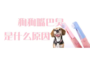 狗狗嘴巴臭是什么原因