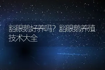 豁眼鹅好养吗？豁眼鹅养殖技术大全