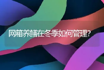 网箱养鳝在冬季如何管理？