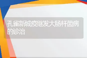 孔雀新城疫继发大肠杆菌病的诊治