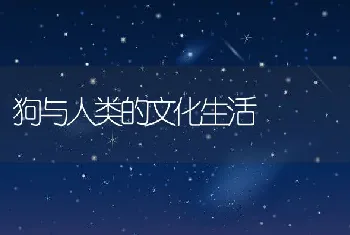 狗与人类的文化生活